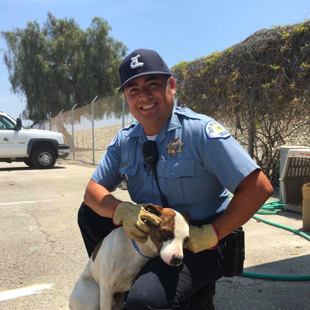 Animal Control Officer with Dog